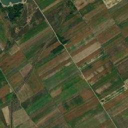 Medieşu Aurit map(satellite map)