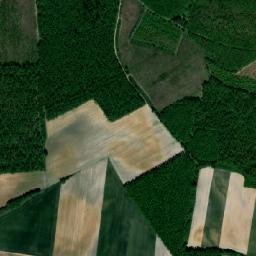 Nyírbátori Járás map(satellite map)