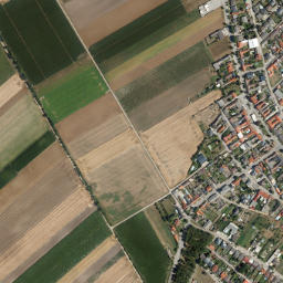 Tadten map(satellite map)