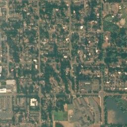 Shoreline map(satellite map)