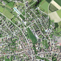 Thayngen map(satellite map)