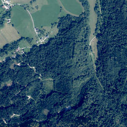 Palfau map(satellite map)