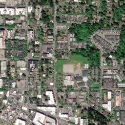 Redmond map(satellite map)