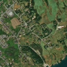 Torbay map(satellite map)