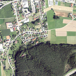 Enzenreith map(satellite map)
