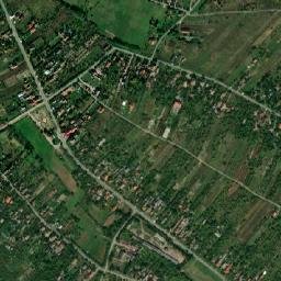 Viile Satu Mare map(satellite map)