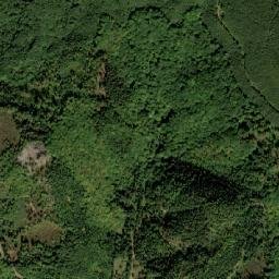 Cavnic map(satellite map)