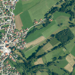 Sulzberg map(satellite map)