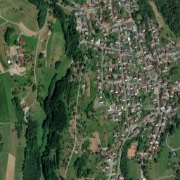 Hasel map(satellite map)