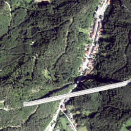 Schottwien map(satellite map)