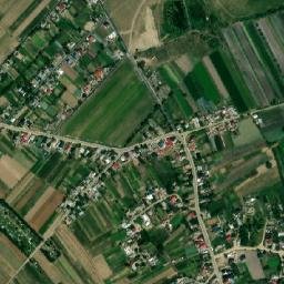 Bursuceni map(satellite map)