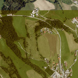 Taugl map(satellite map)