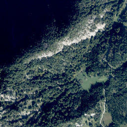 Wildalpen map(satellite map)