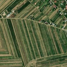 Dumbrăveni map(satellite map)
