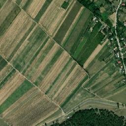 Draxini map(satellite map)