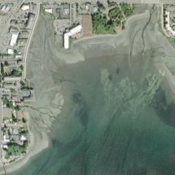 Silverdale map(satellite map)
