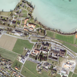 Münsterlingen map(satellite map)