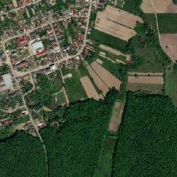 Poiana Codrului map(satellite map)