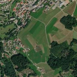 Rickenbach map(satellite map)