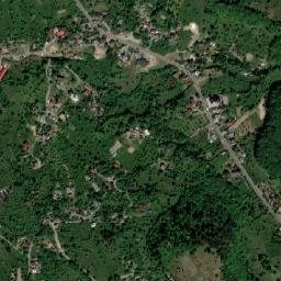 Dănești map(satellite map)
