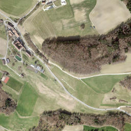 Frauenfeld District map(satellite map)