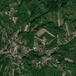 Ocoliș map(satellite map)
