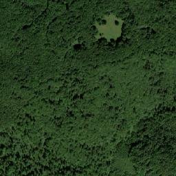 Comuna Băiuţ map(satellite map)