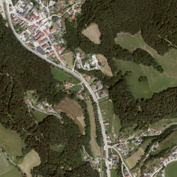 Edlitz map(satellite map)