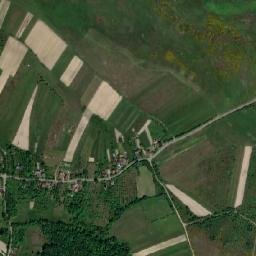 Arieșu de Pădure map(satellite map)