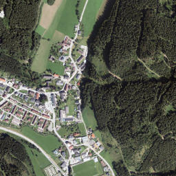 Veitsch map(satellite map)