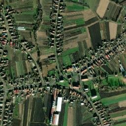 Pişcolt map(satellite map)