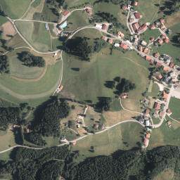 Jungholz map(satellite map)