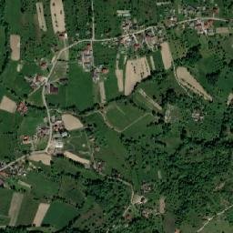 Cărpiniș map(satellite map)