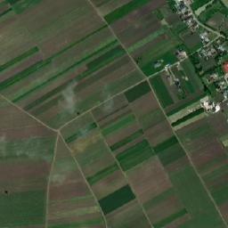 Moara Carp map(satellite map)