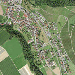 Tegerfelden map(satellite map)