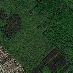Gödöllői Járás map(satellite map)