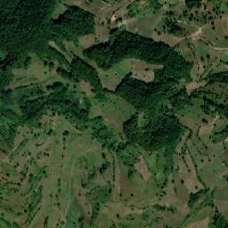 Cupşeni map(satellite map)