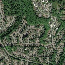 6159-6199 Forest Dr SE, Bellevue, WA 98006 Satellite Map