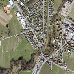 Egnach map(satellite map)