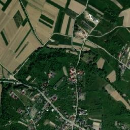 Coaș map(satellite map)
