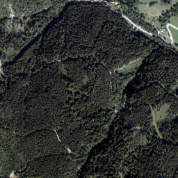 Johnsbach map(satellite map)