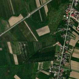 Sălsig map(satellite map)