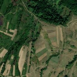 Comuna Cerneşti map(satellite map)