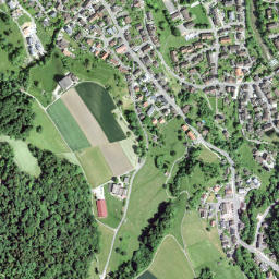Rorbas map(satellite map)