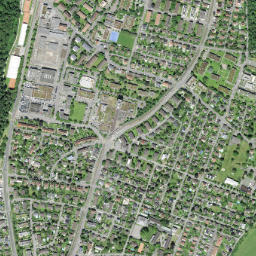 Münchenstein map(satellite map)