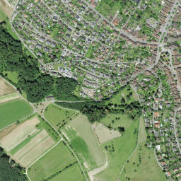 Muttenz map(satellite map)