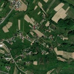 Copalnic map(satellite map)