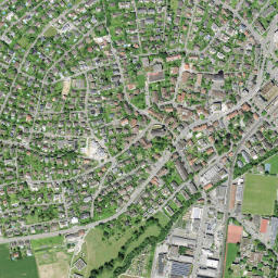Oberwil map(satellite map)