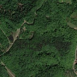 Comuna Coaş map(satellite map)