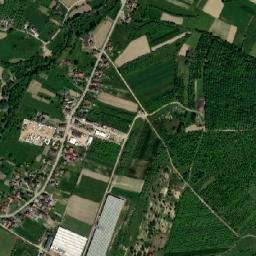 Cerneşti map(satellite map)